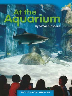 At the Aquarium