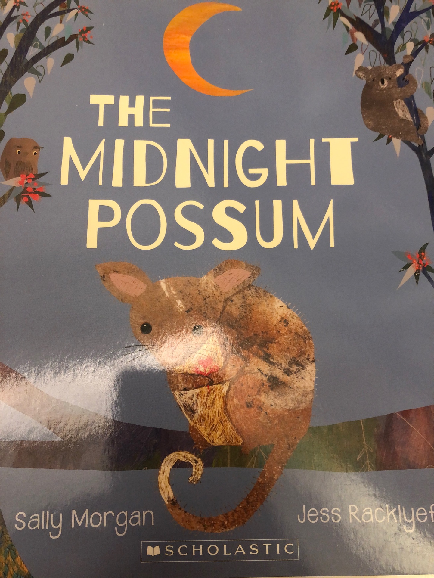 The midnight possum