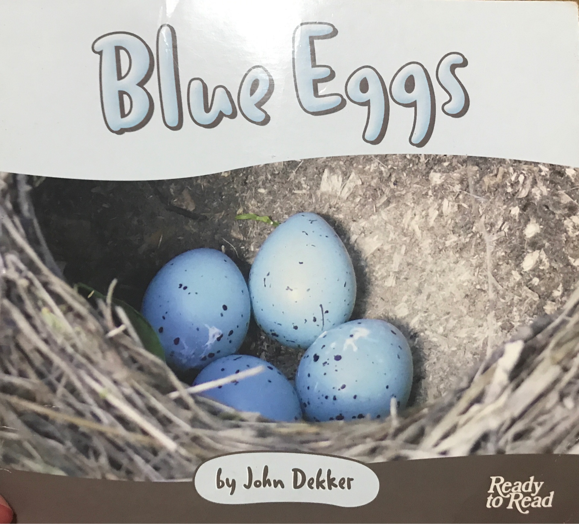 Blue Eggs