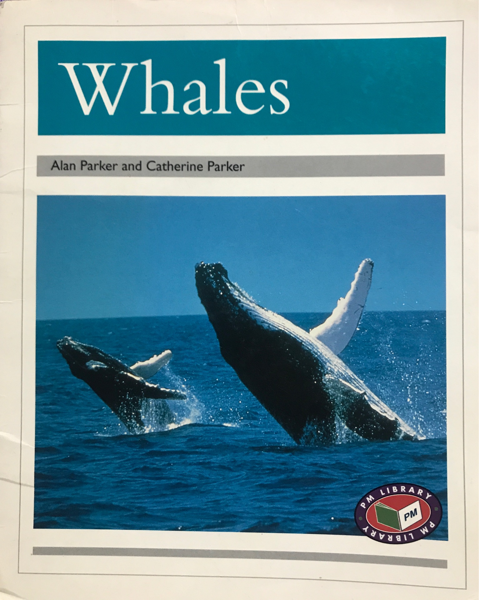 Whales PM Non Fiction Animal Facts Level 23&24 Polar Animals Silver