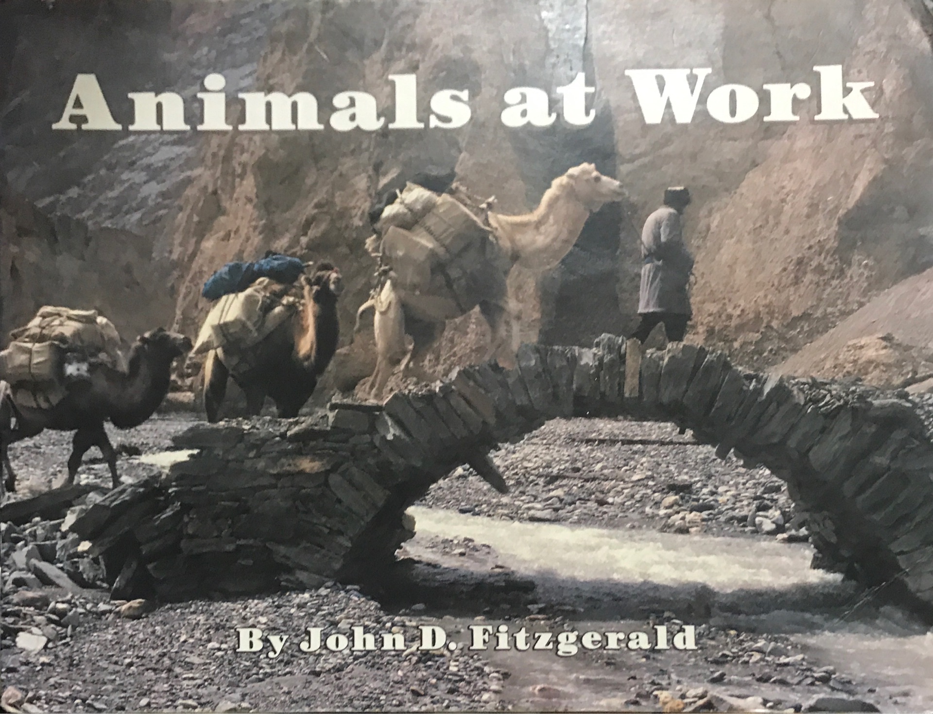 Animals at Work