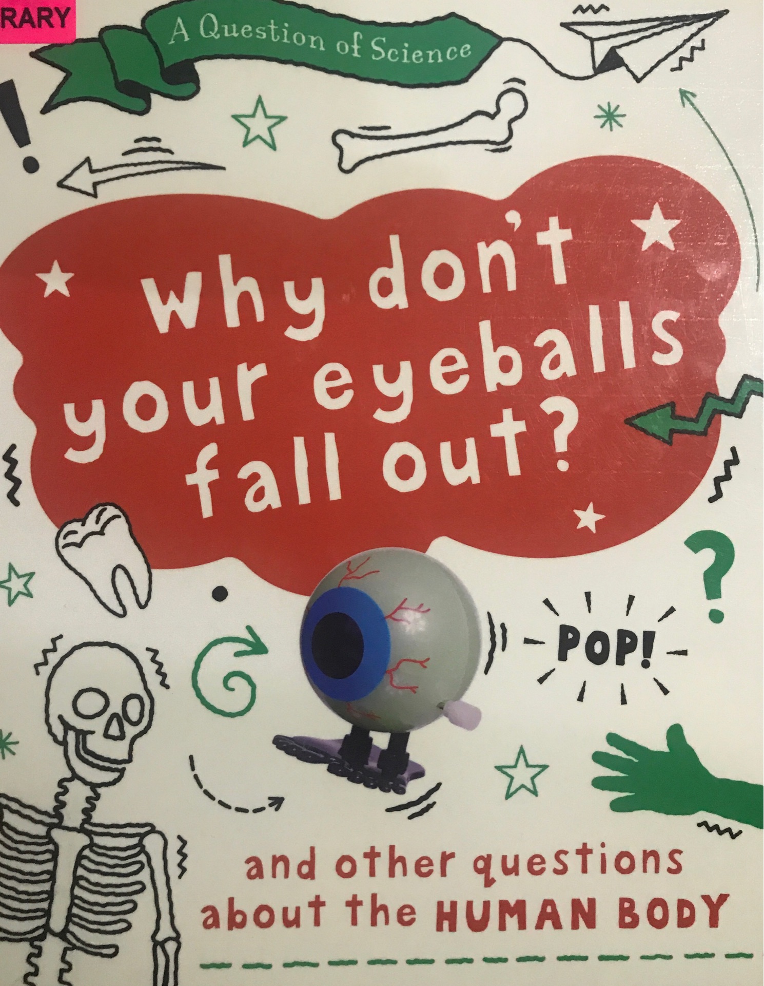 Why don't your eyeballs fall out?