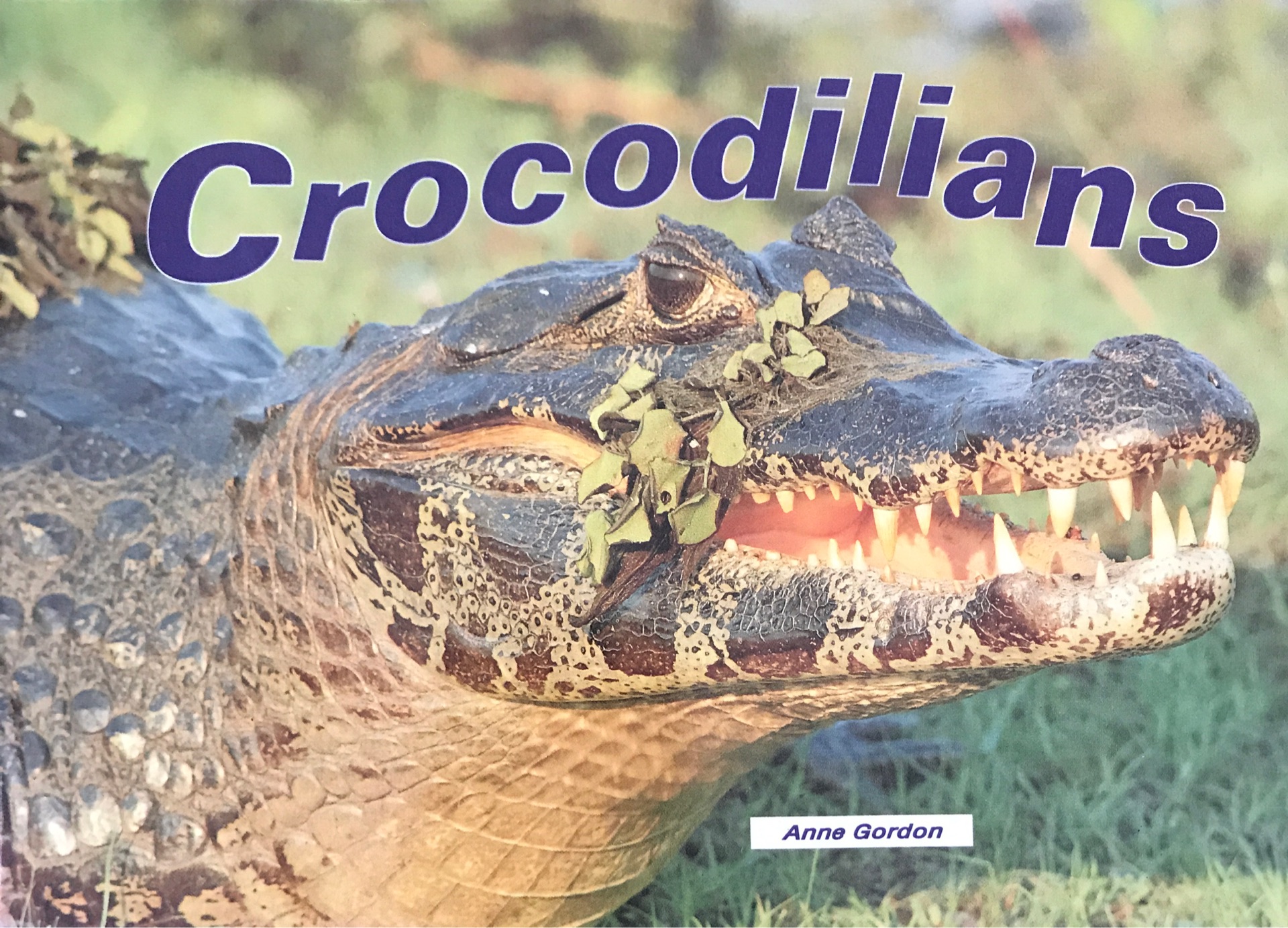 Crocodilians