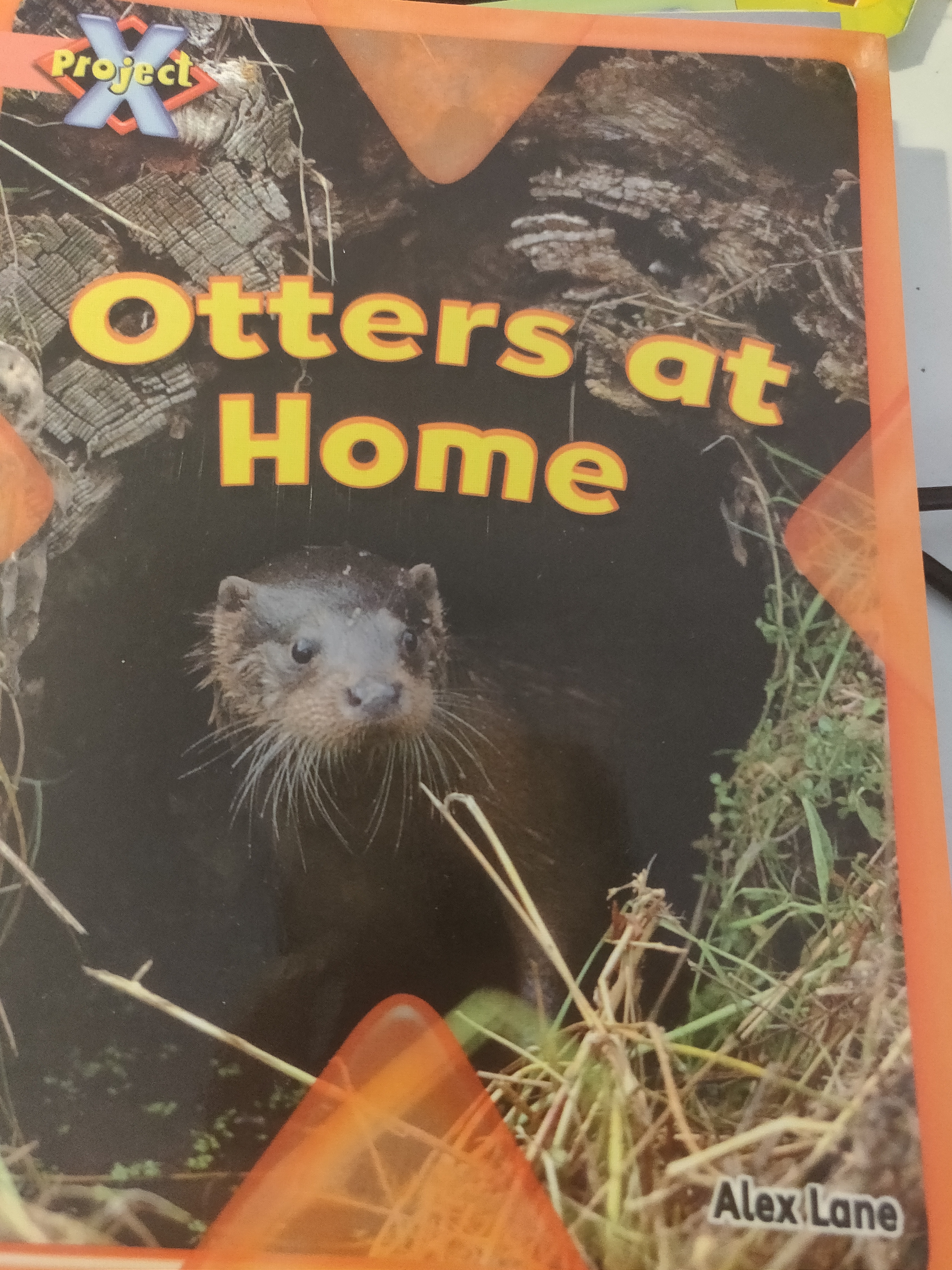 Project x:Otter at home