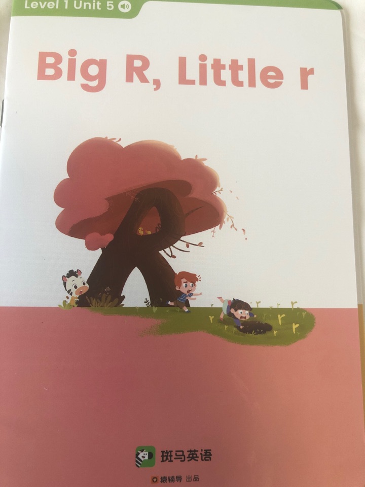 Big R,Little r