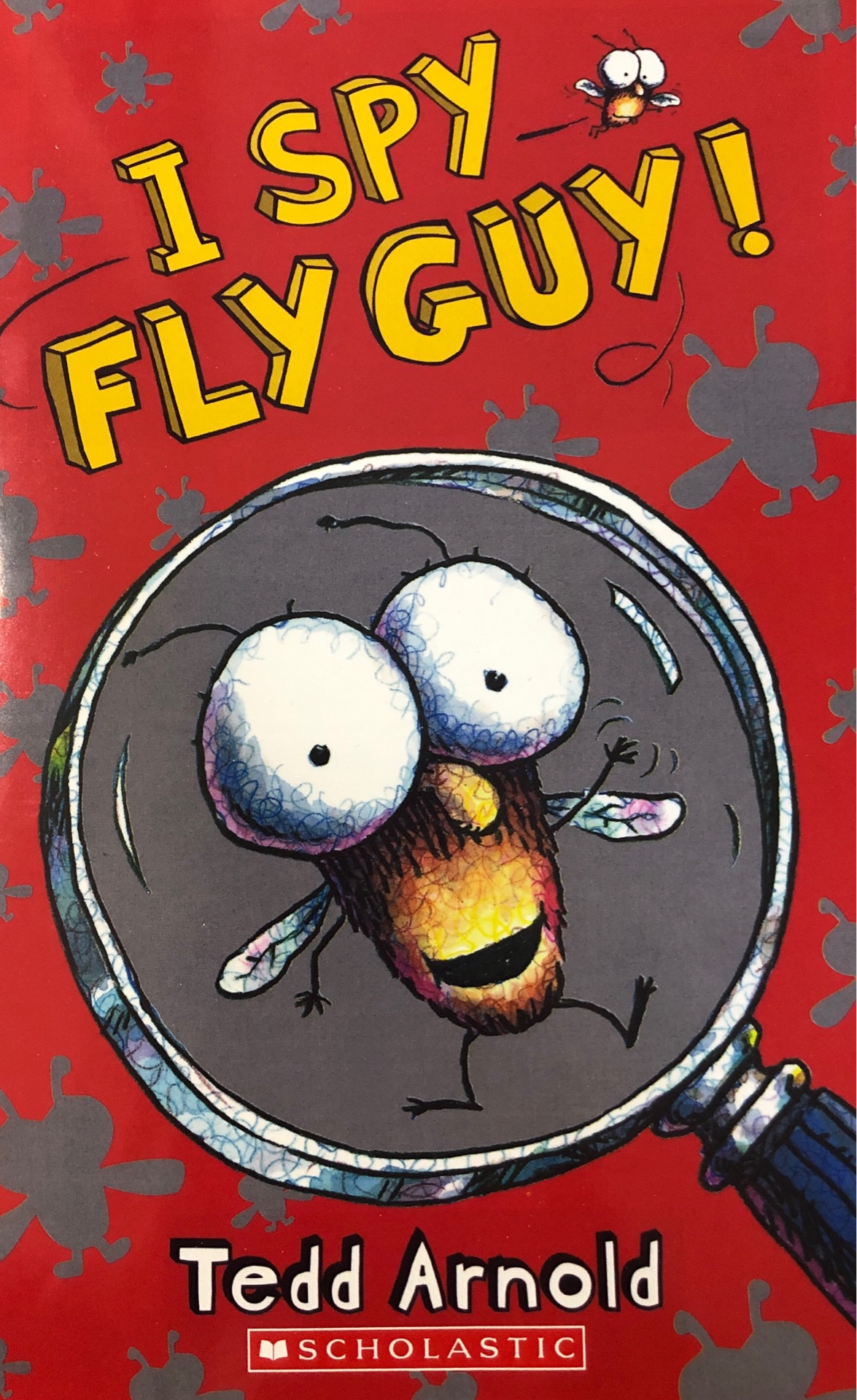 I SPY FLY GUY!