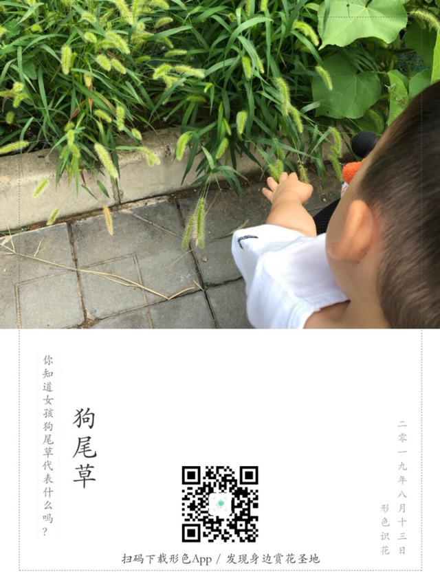 生物小課堂。