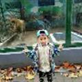周子涵0418