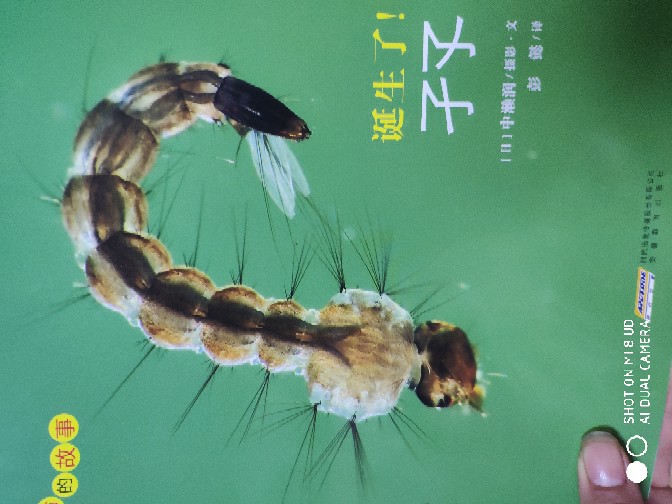 觀察自然