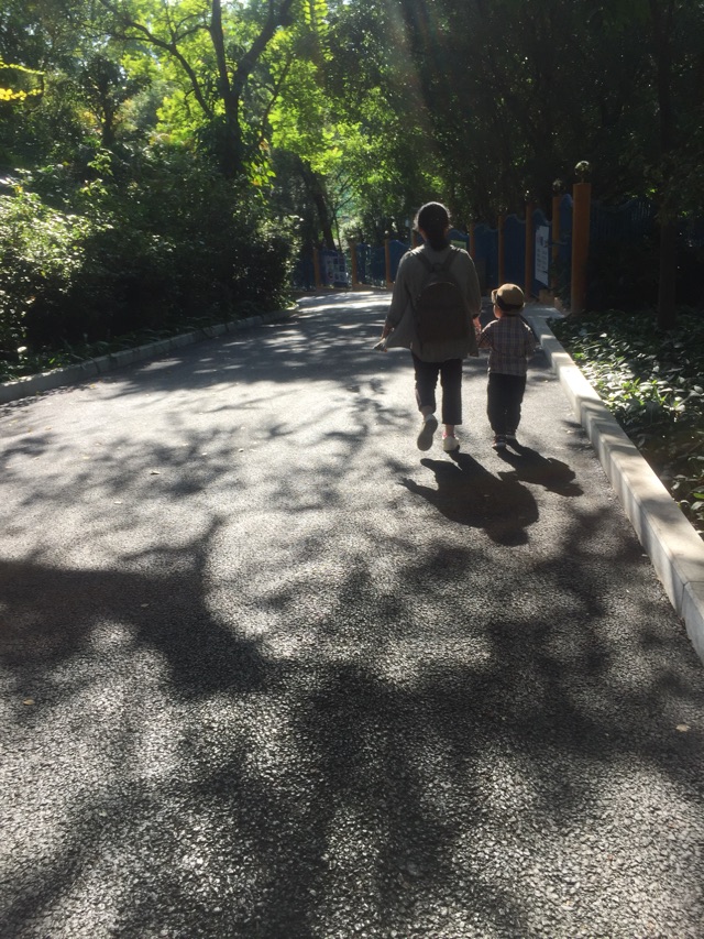 2019/11/21 3Y4+ 