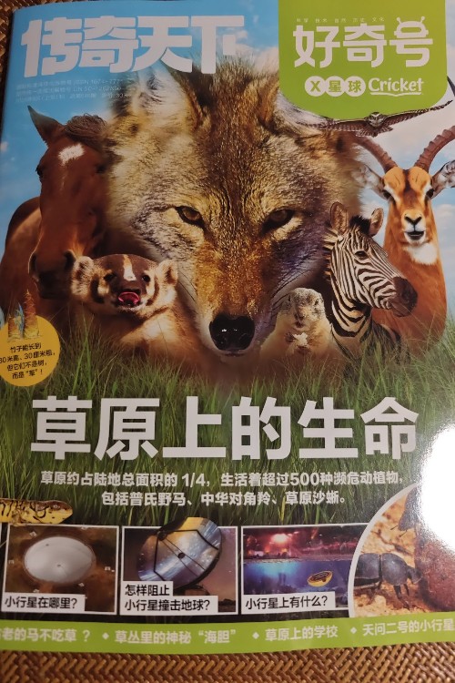 傳奇天下 好奇號草原上的生命