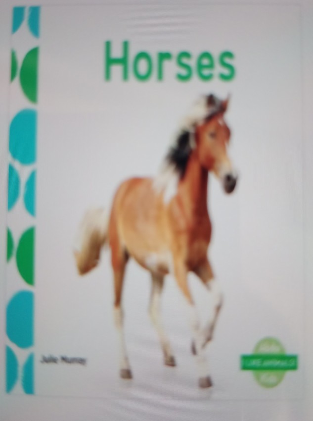 Horses