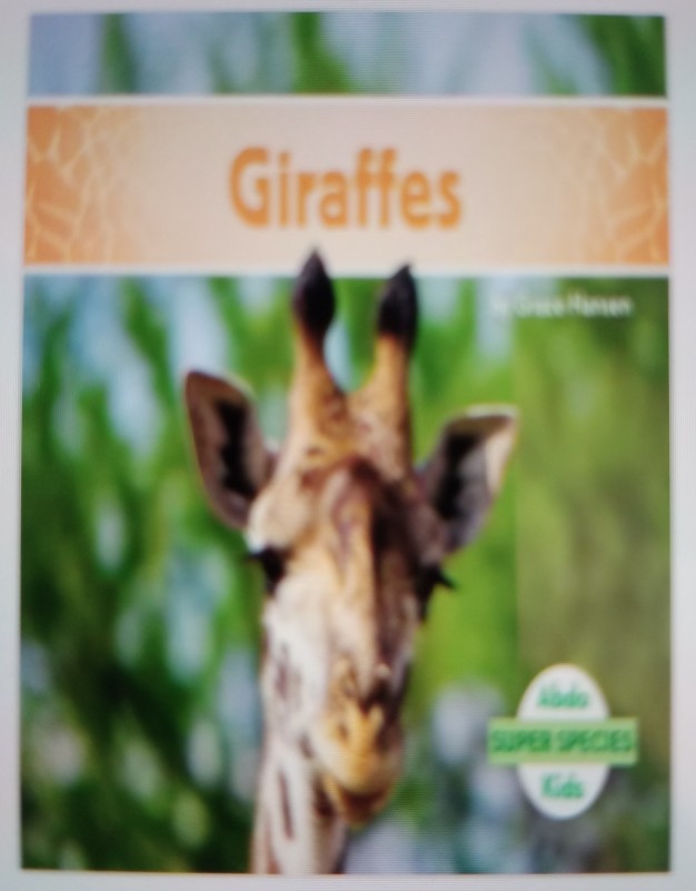 Giraffes