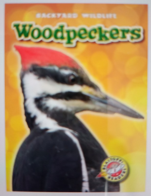 Woodpeckers