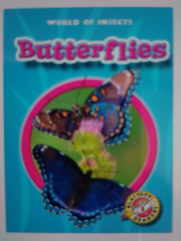 Butterflies