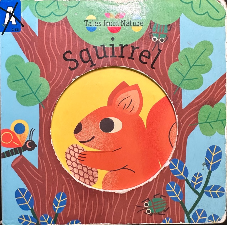 Squirrel