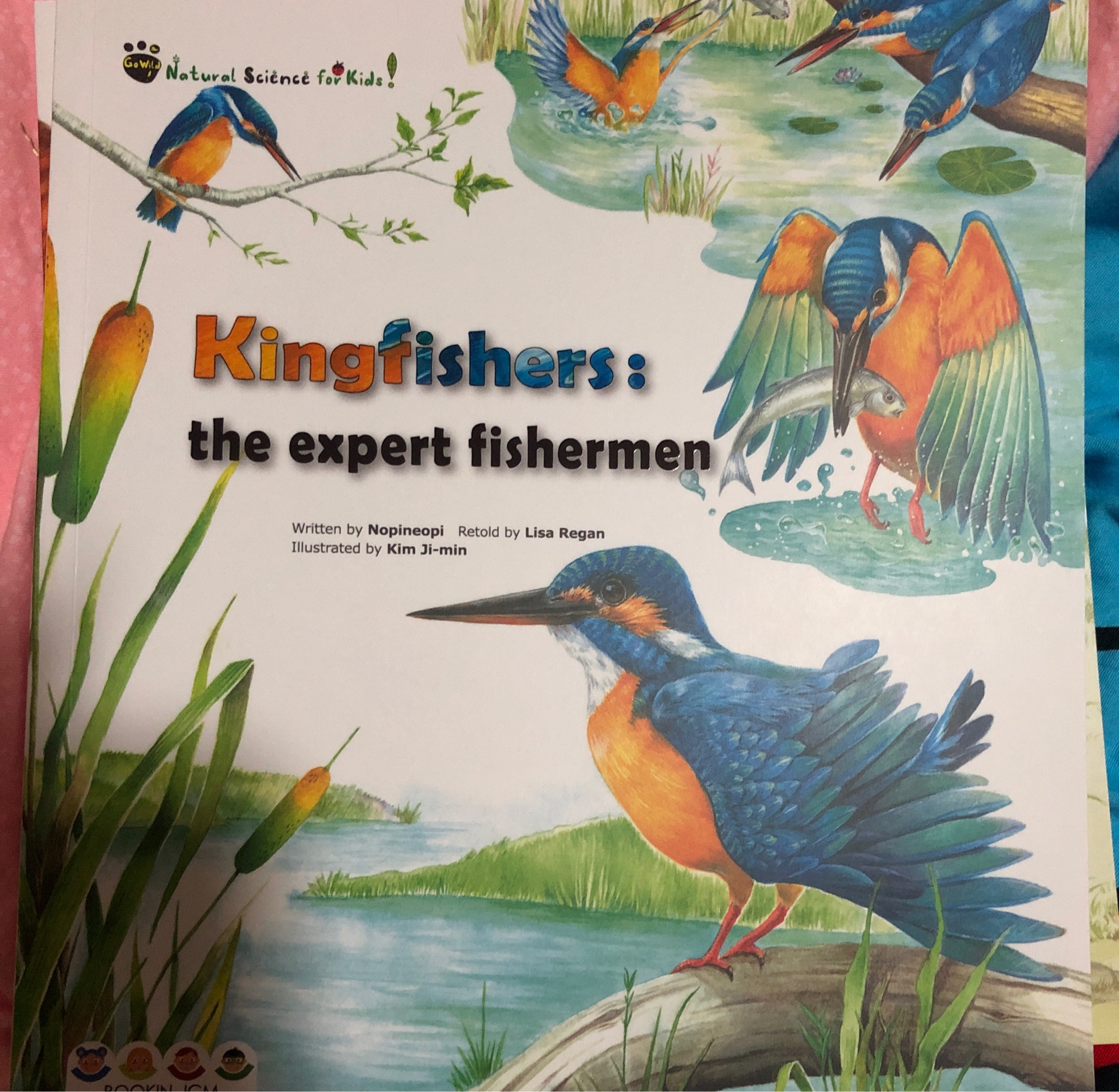 Kingfishers:the expert fisherman