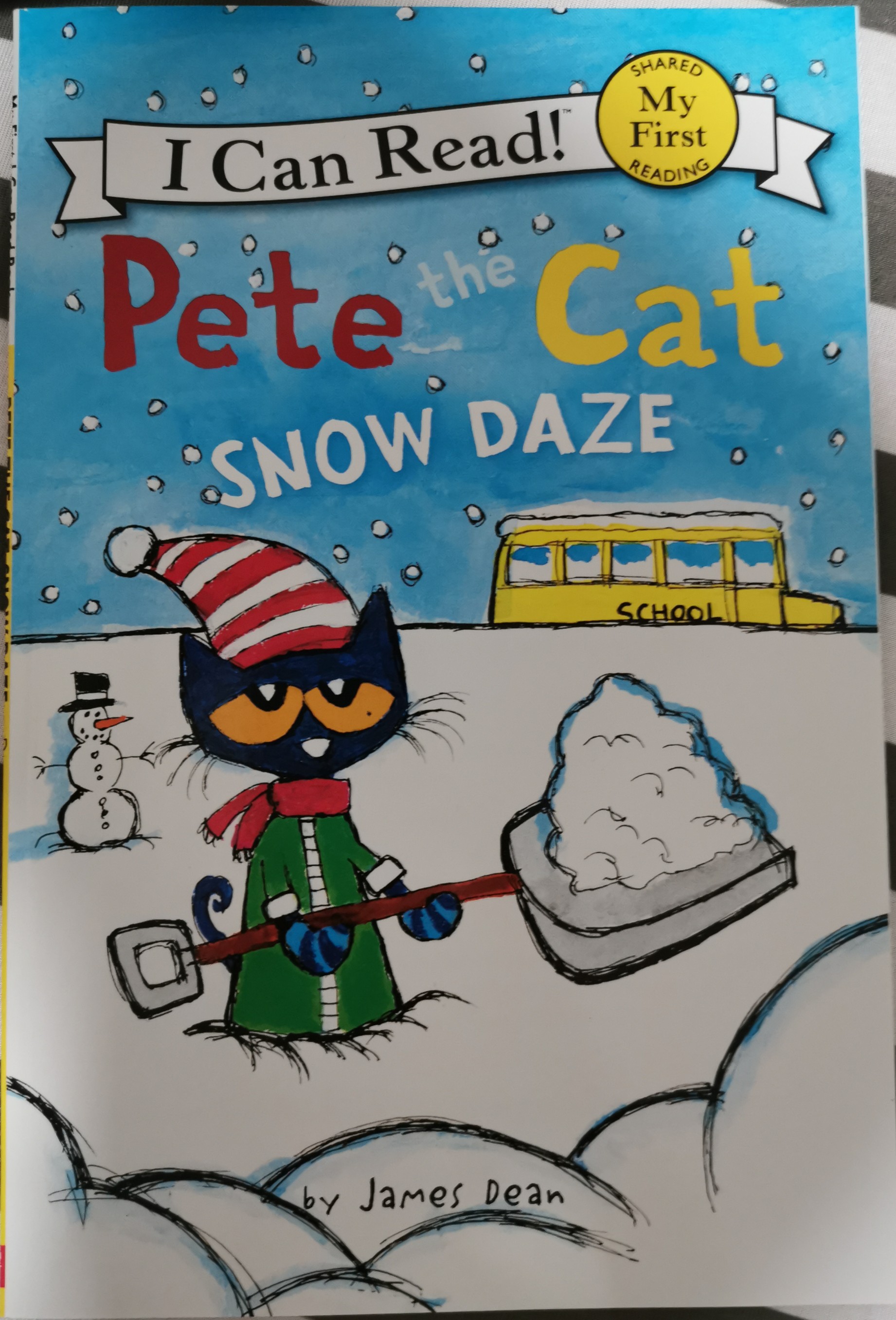 pet the cat snow daze