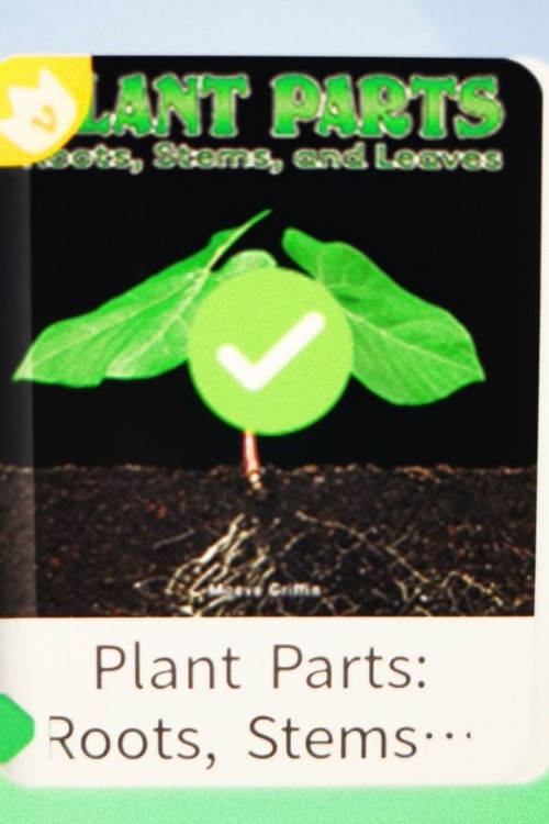 plant parts: roots, stems, and leaves