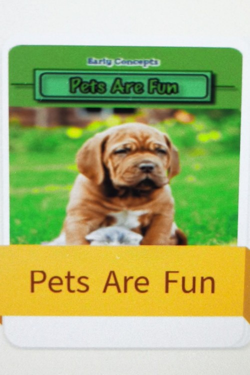 pets are fun