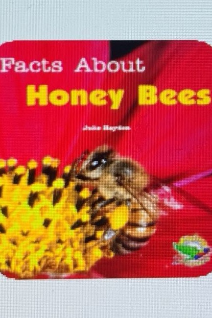 Facts About Honey Bees