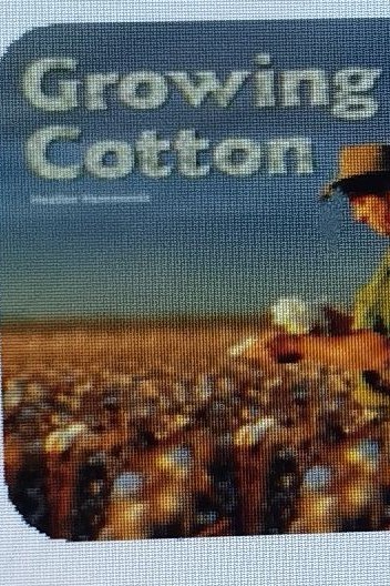 growing cotton