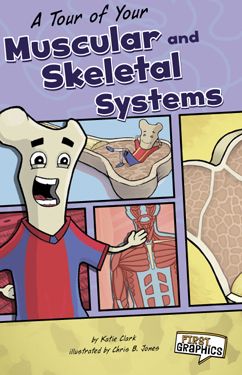 A Tour of Your Muscular and Skeletal Systems