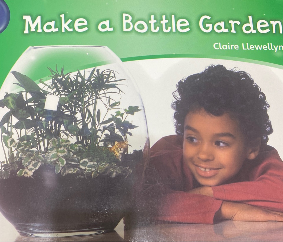 Make a bottle garden