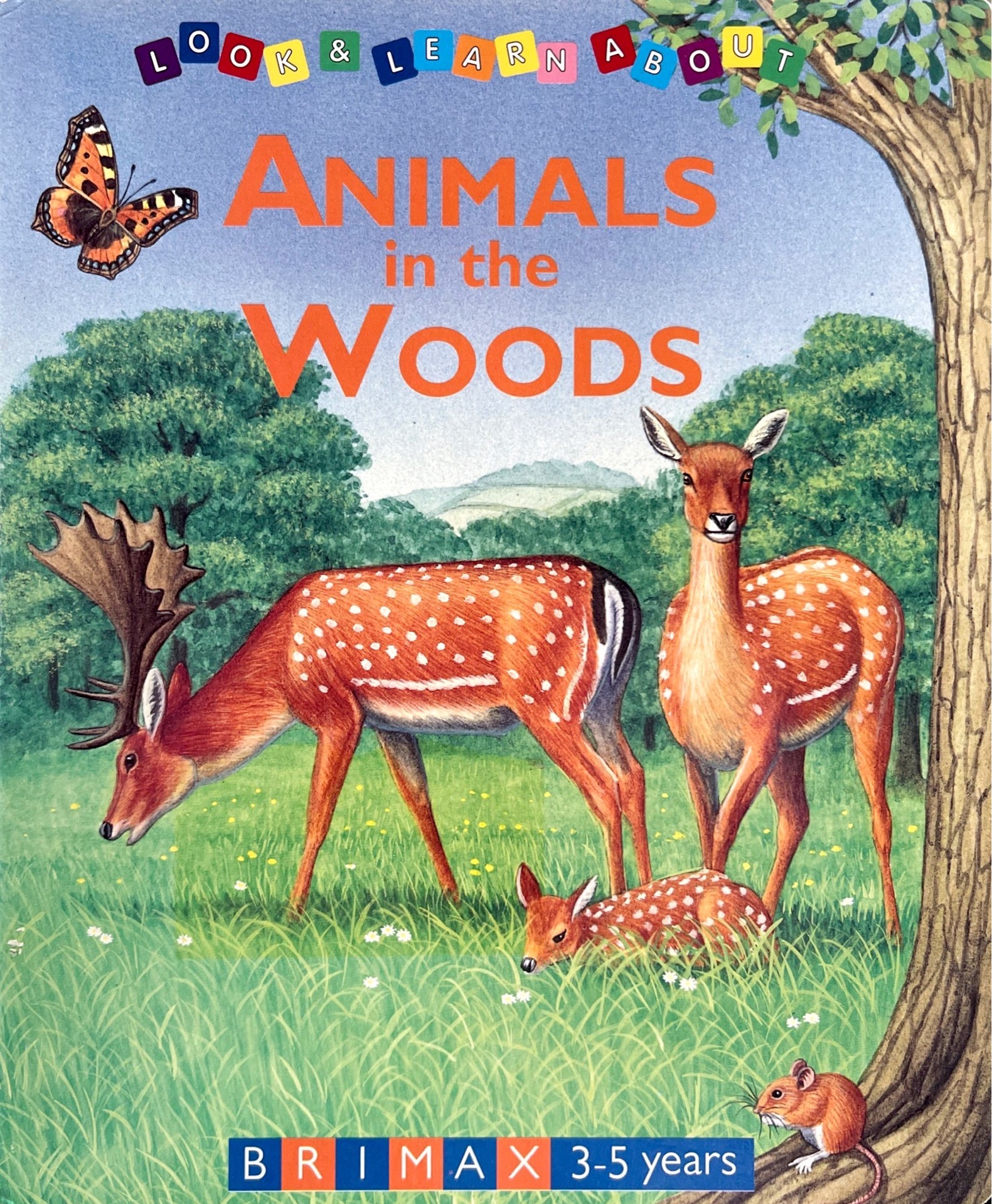 Animals in the Woods