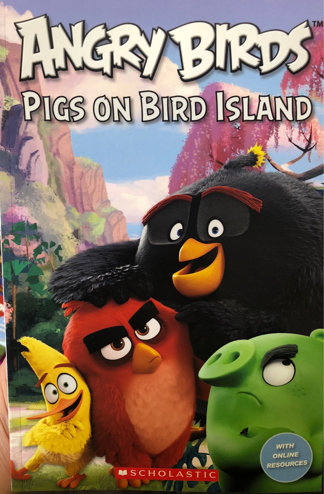 ANGRY BIRDS PIGS ON BIRD ISLAND