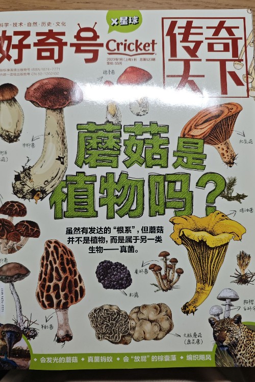 好奇號(hào)2023年1月上旬刊蘑菇是植物嗎