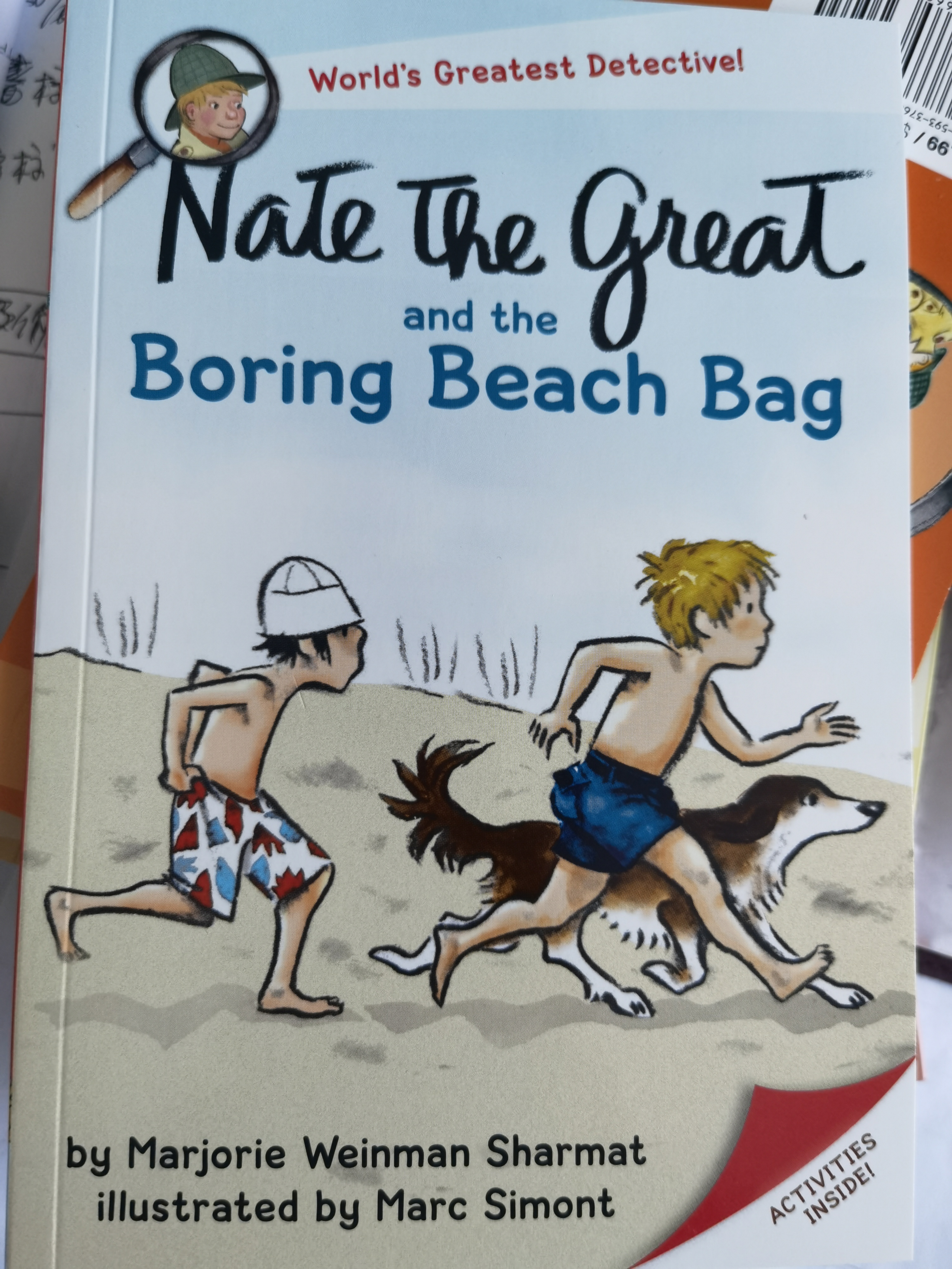 Nate the Great and the Boring Beach Bag