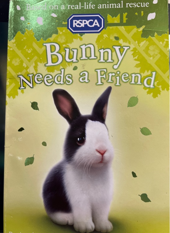 bunny needs a friend