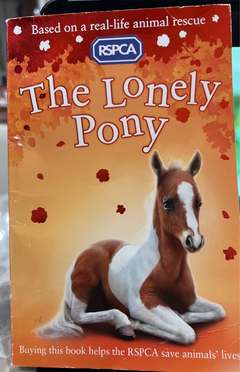 The lonely pony