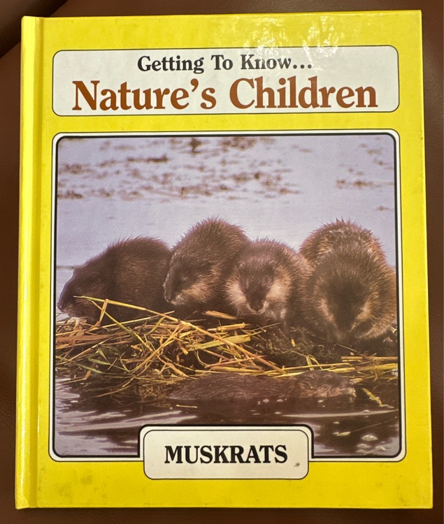 Getting to know Nature's Children-Muskrats and Salmon