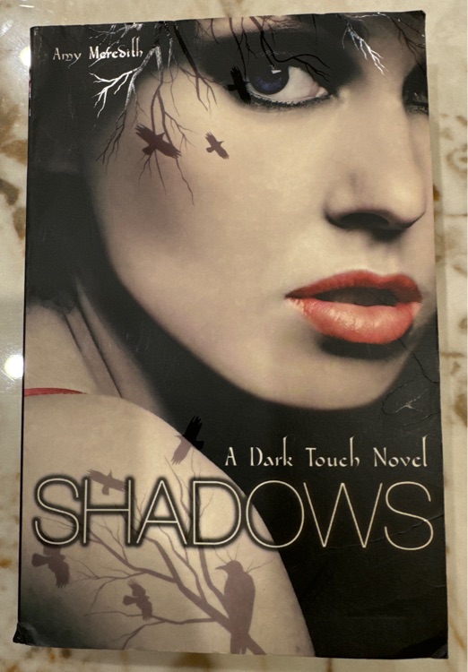 A dark touch novel shadows