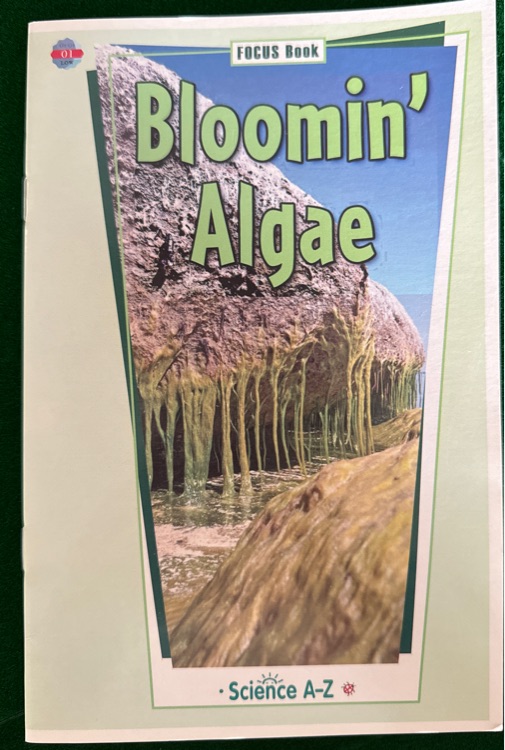 bloomin' Algae