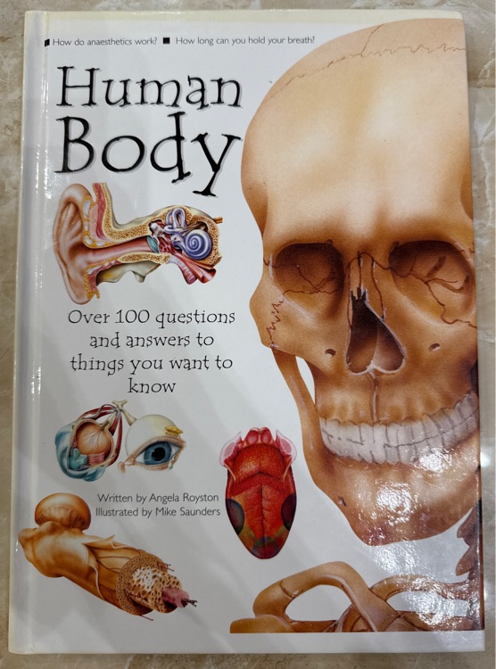 Human Body