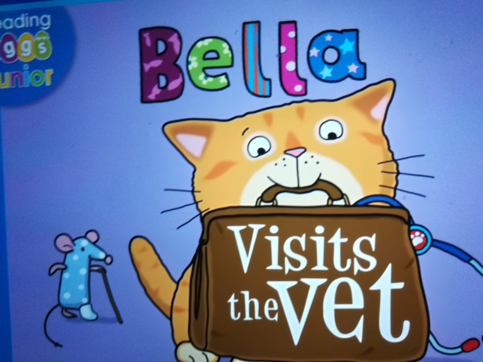 Bella visits the vet