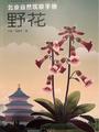 北京自然观察手册 野花