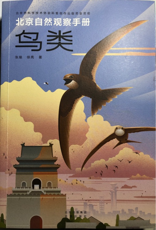 北京自然觀察手冊 鳥類