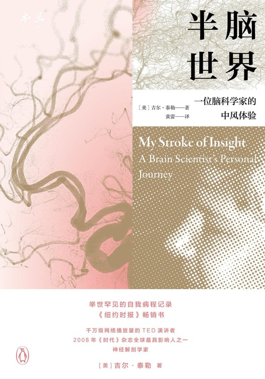 半脑世界