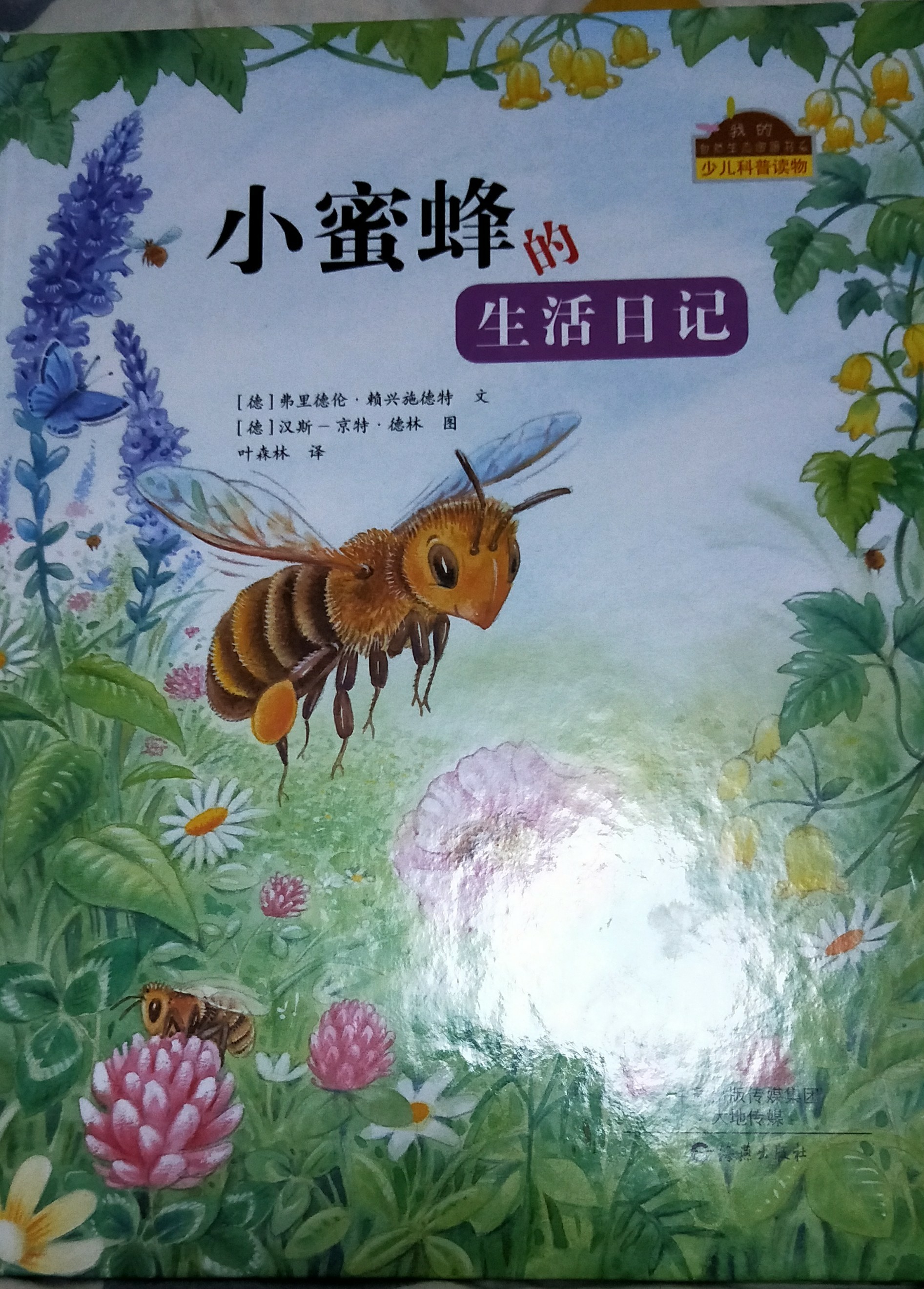 小蜜蜂的生活日記