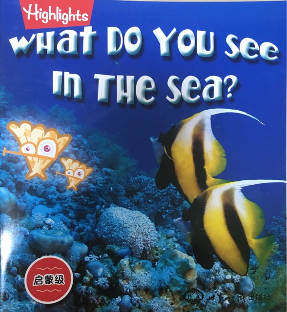 what do you see in the sea