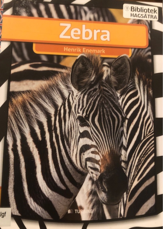 zebra