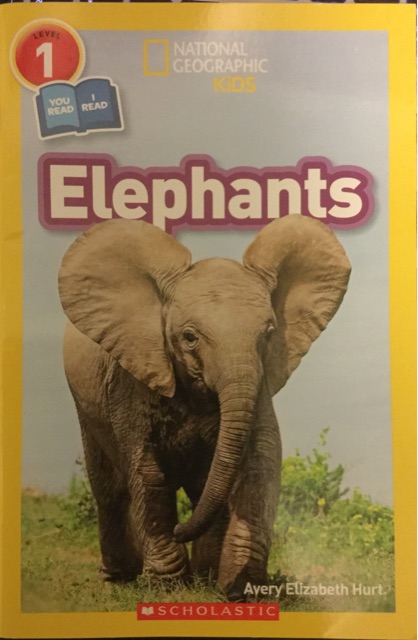 Elephants