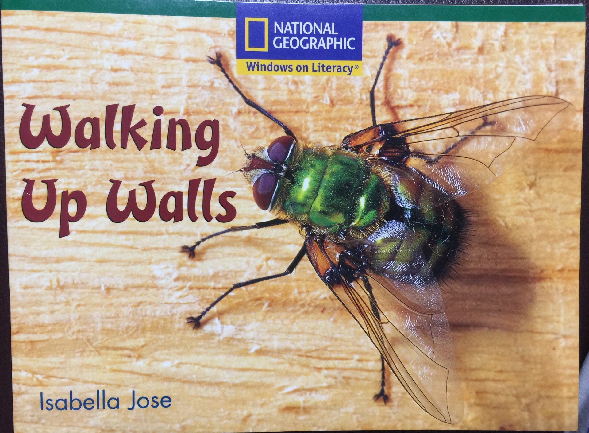 Walking up walls