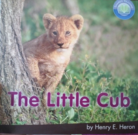 The Little Cub