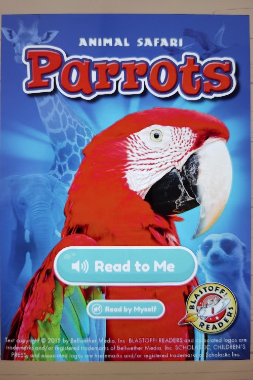 parrots