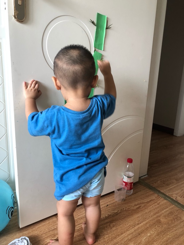 今日活動